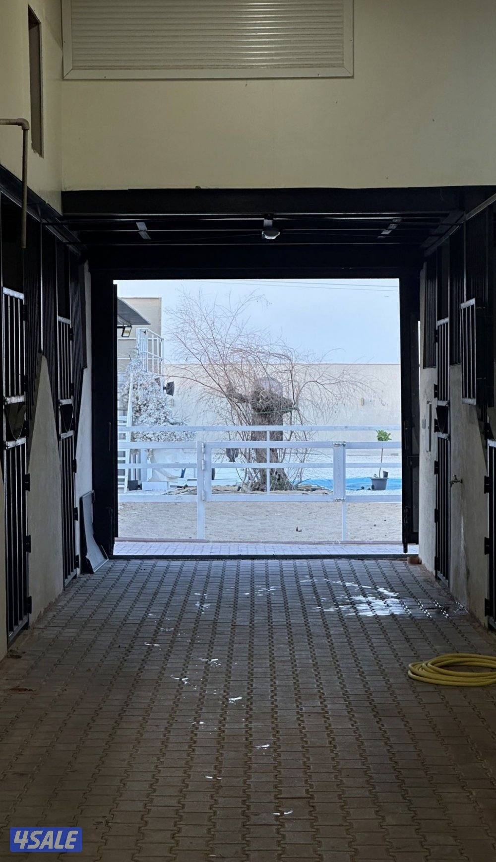 للايجار اسطبل مدخل خاص بالوفره طريق ٥٠٠2