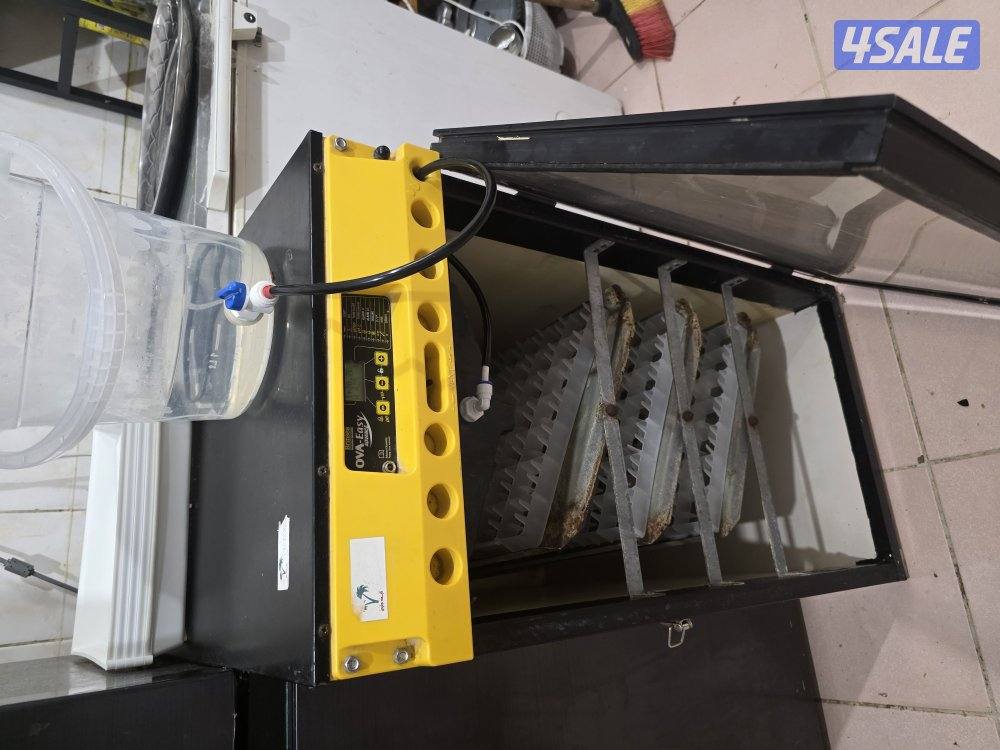 للبيع فقاسه نايف برنسي الاصلية عدد ٣٨٠ بيضه شرط النضافه والشغل تفقيس6