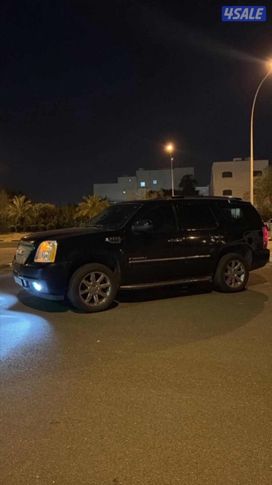 للبيع دينالي1