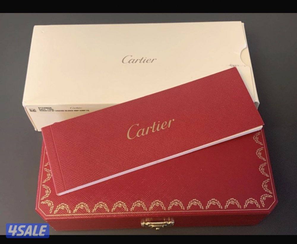 كارتير رودستر درايفق قلوفز3