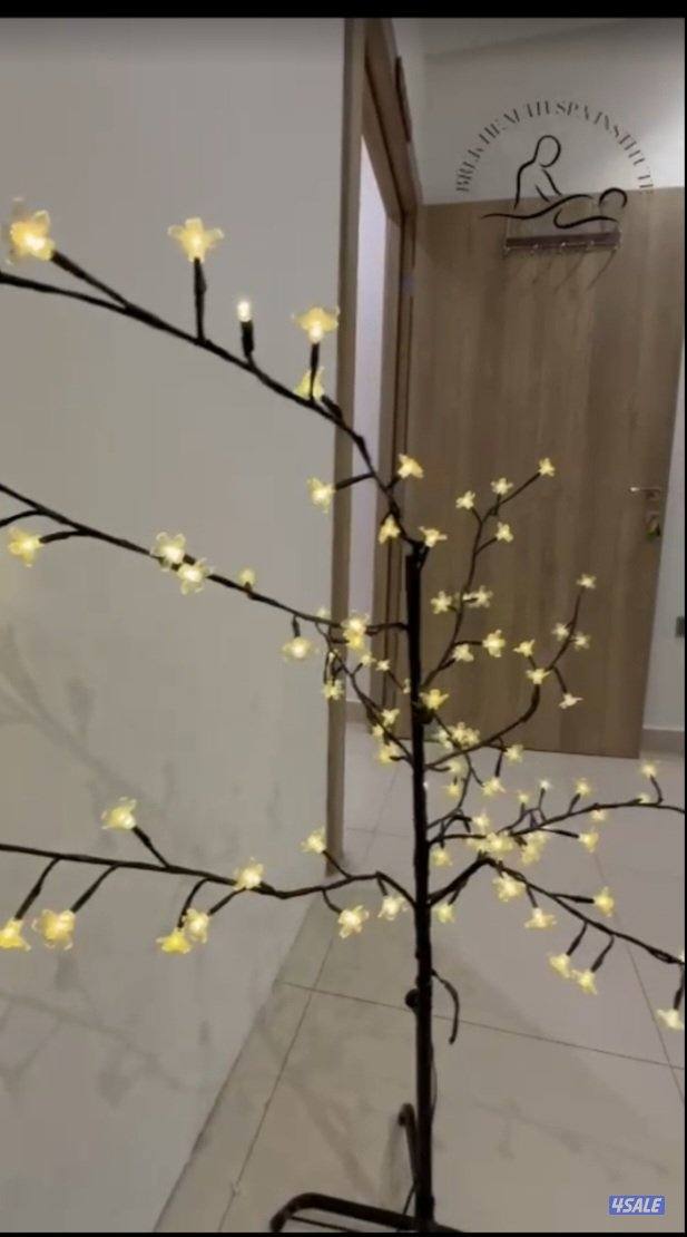 معهد مساج رجالي للبيع3