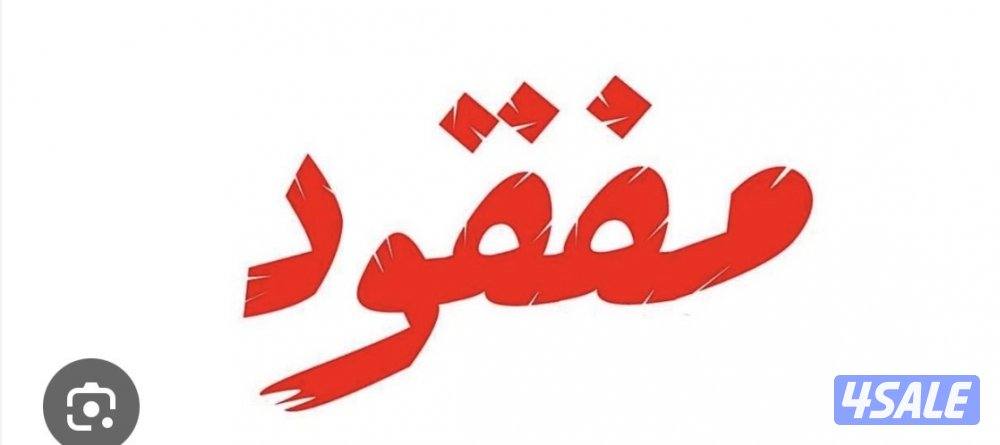 تم العثور على كلب مفقود بجبد0