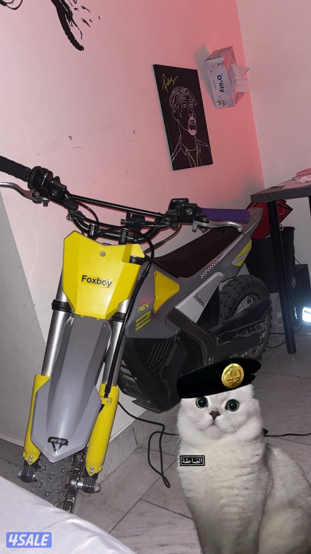 للبيع سيكل fox boy 48v حجم ١١٠ السعر ٢٥٠ نهايتي2