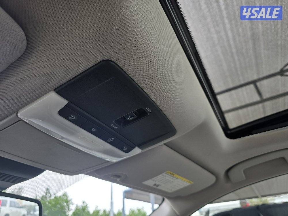 التيما تحت الكفالة ممشى قليل12