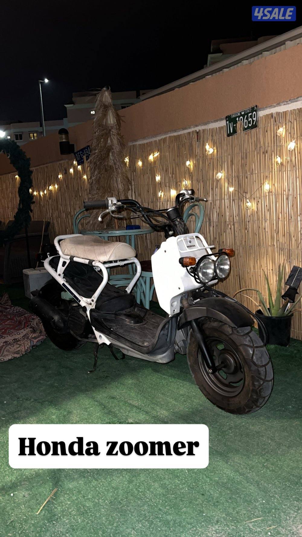 وارد اليابان15