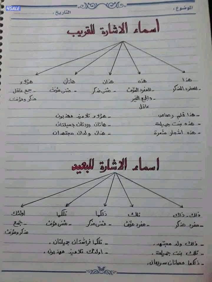 معلمة تأسيس لغة عربية رياضيات متابعة الواجبات شرح المنهج لجميع المراحل8