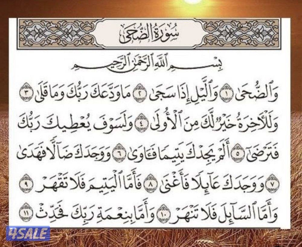 معلمة تأسيس لغة عربية رياضيات متابعة الواجبات شرح المنهج لجميع المراحل10