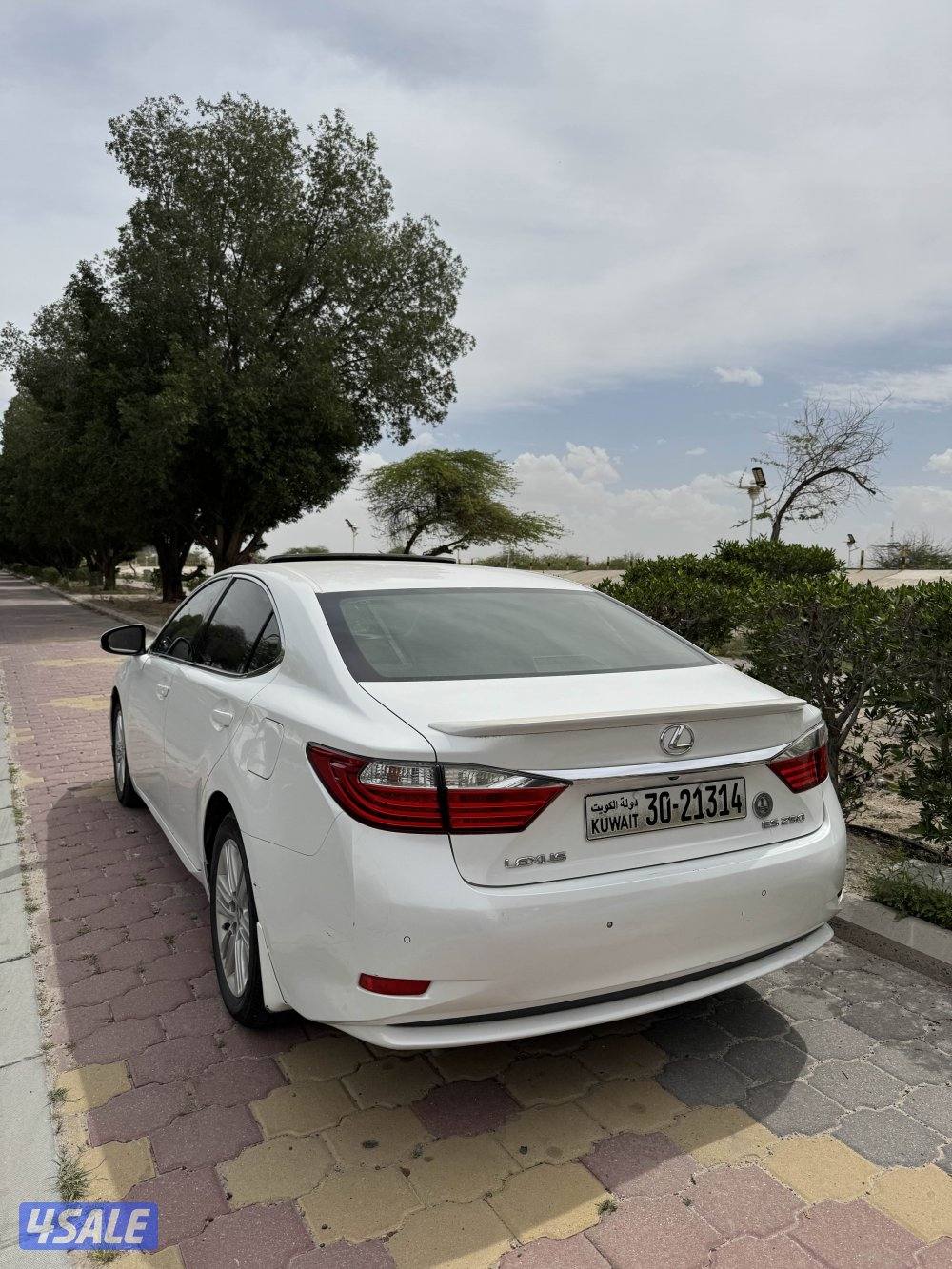 صبغ وكالة كامل مواصفات0