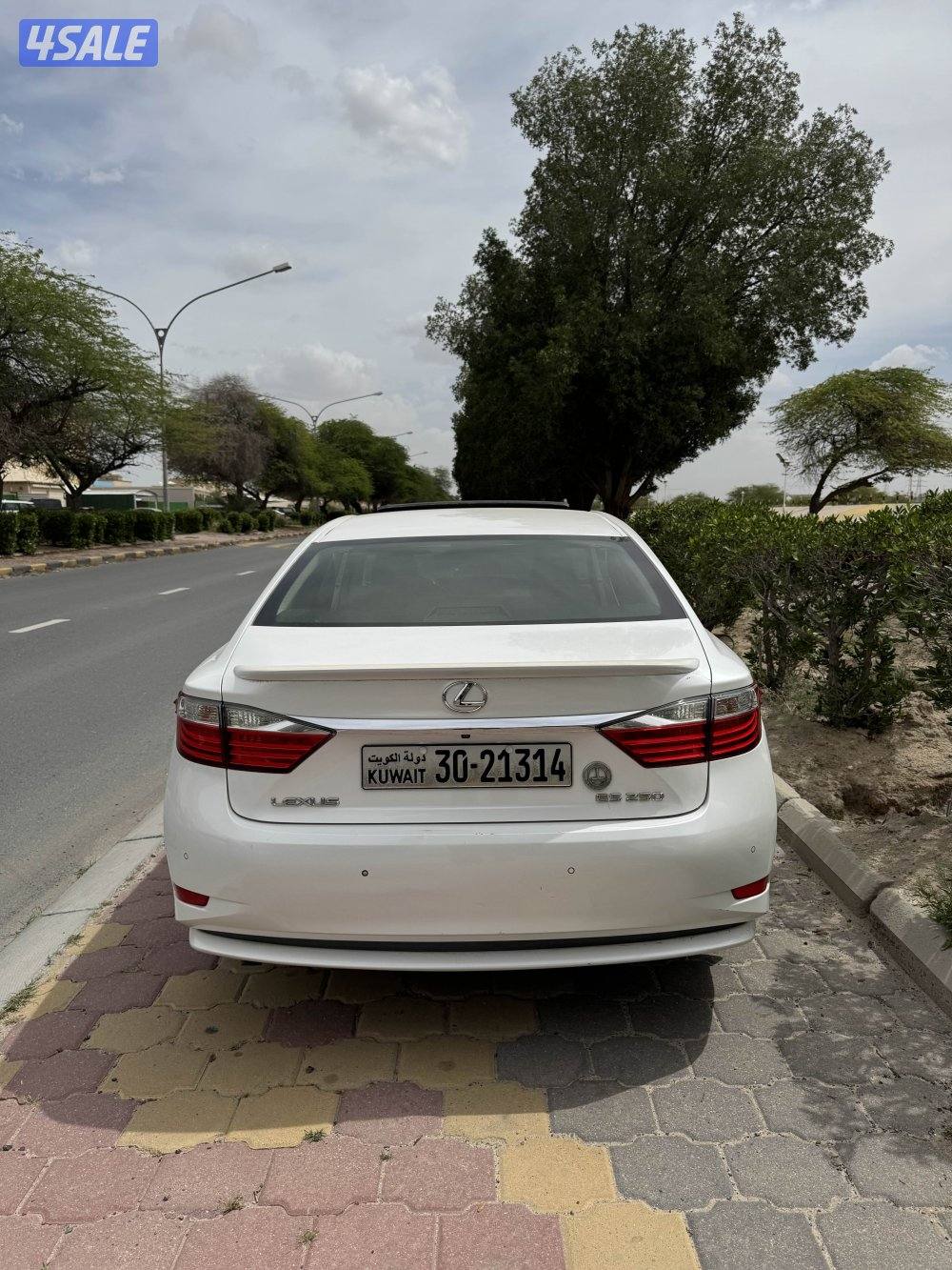 صبغ وكالة كامل مواصفات3