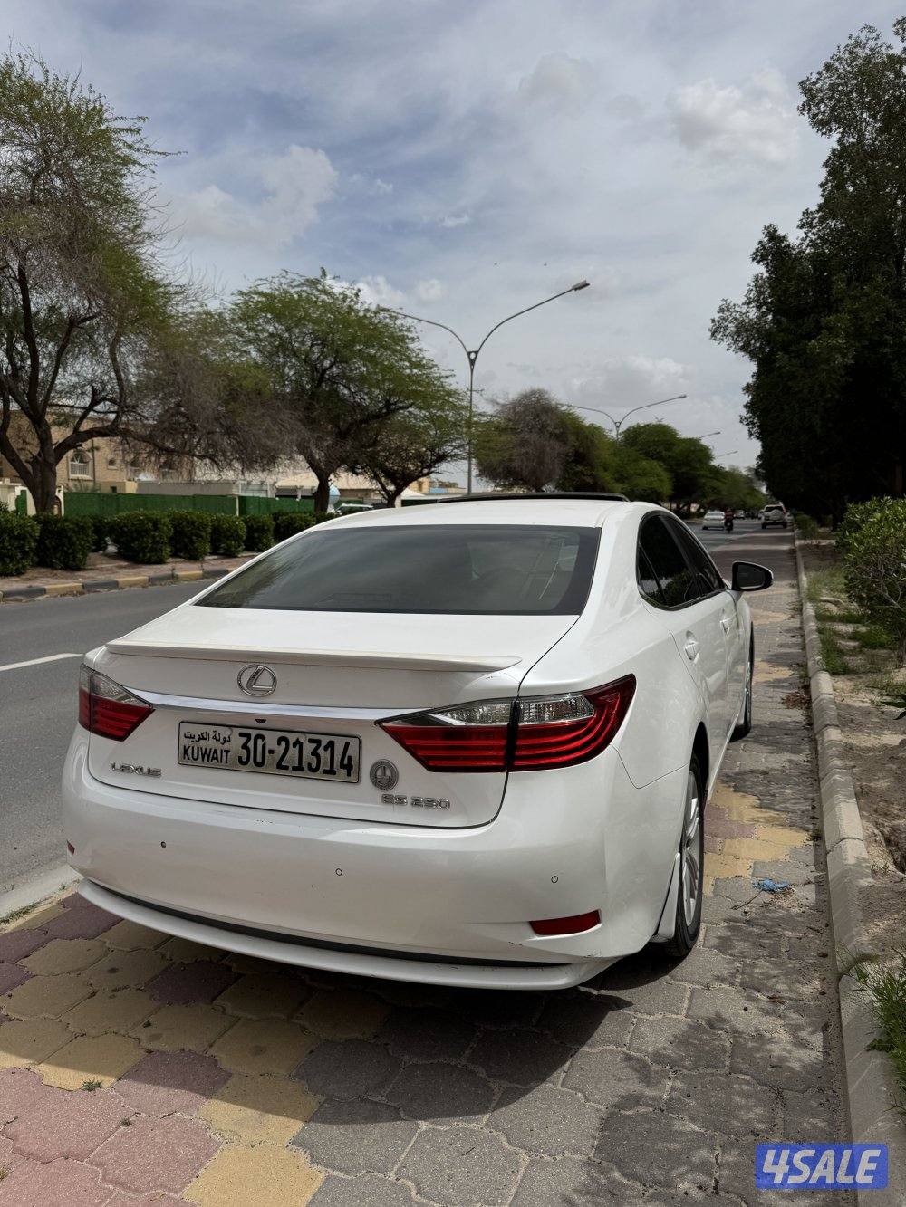 صبغ وكالة كامل مواصفات4