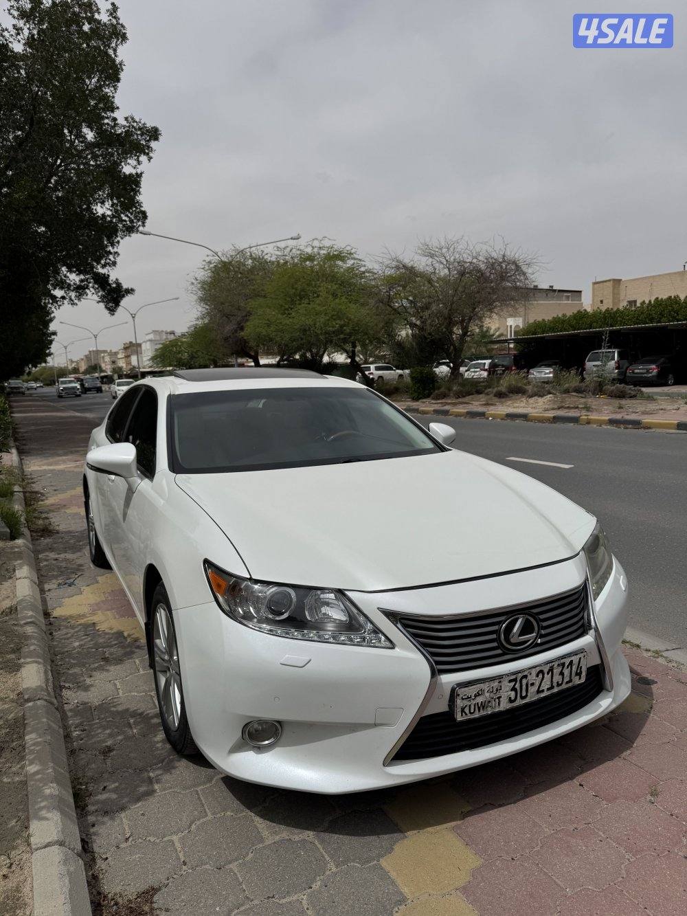 صبغ وكالة كامل مواصفات5