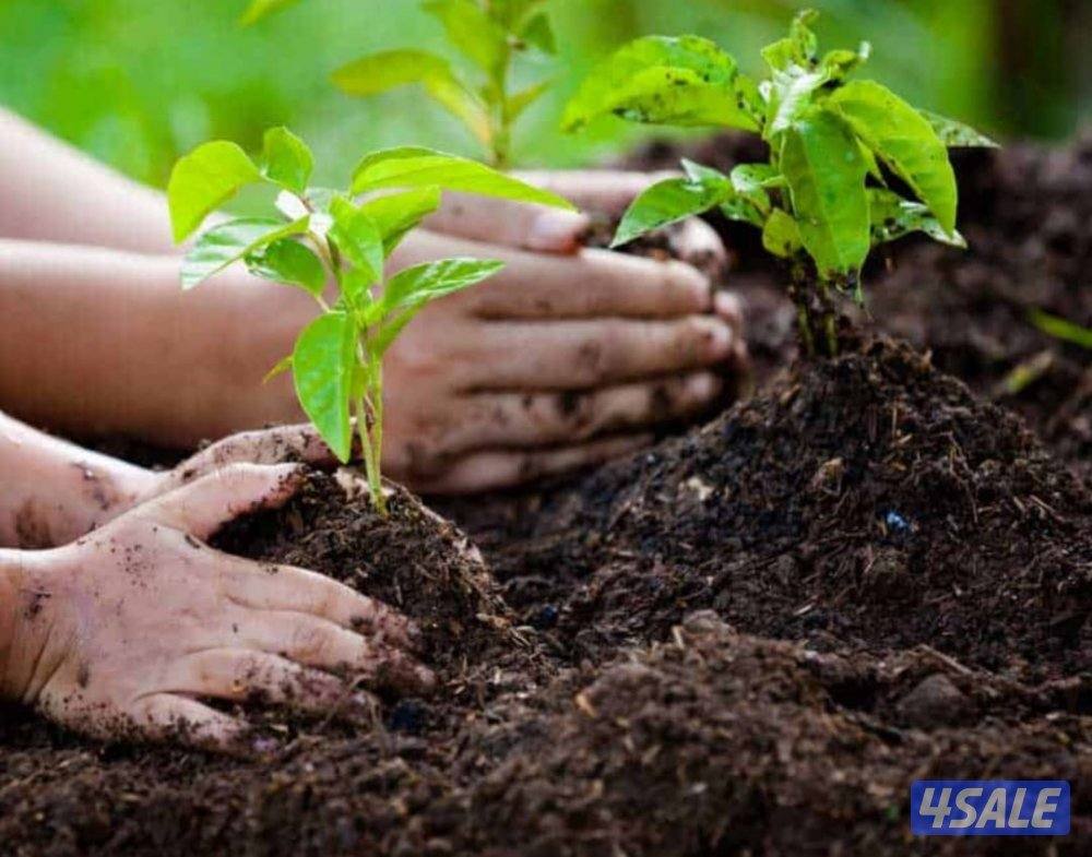 عمل سوداني0