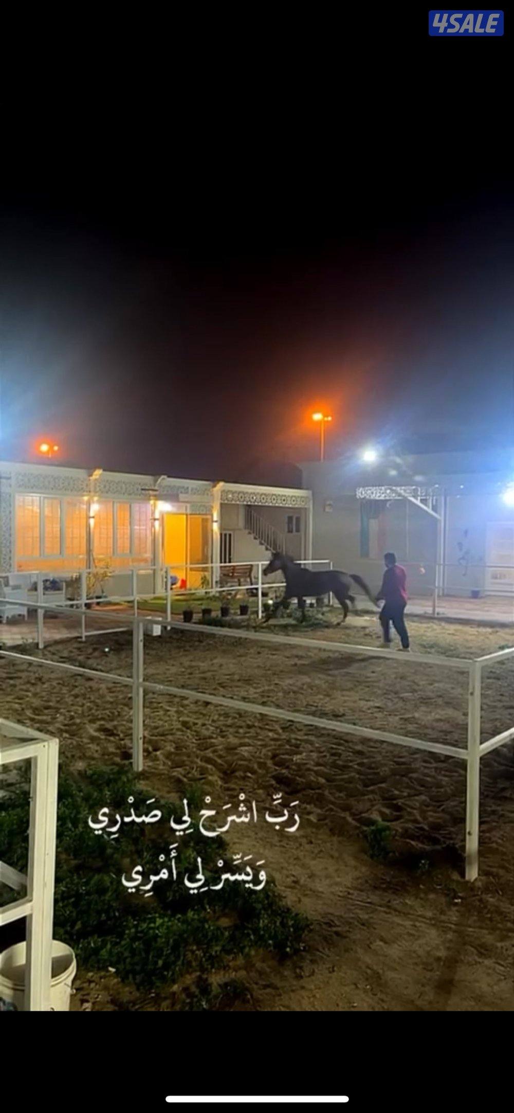 مربط ومدرسة1