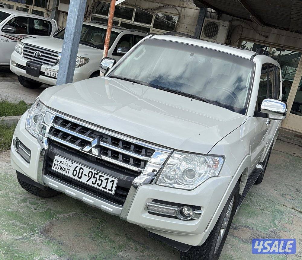 الرى مقابل الرئاسة العامة للحرس الوطني3