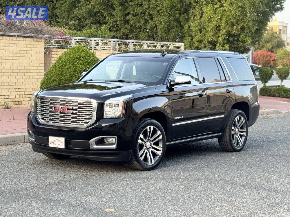 دينالي ٢٠١٩0