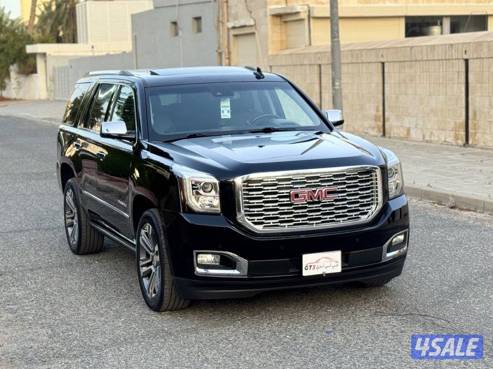 دينالي ٢٠١٩2