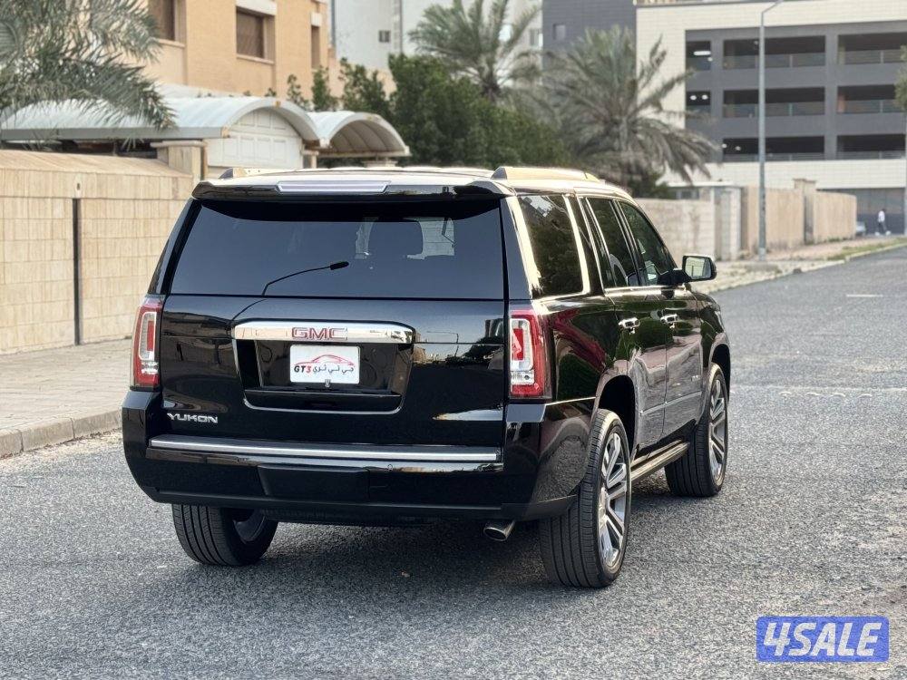 دينالي ٢٠١٩4