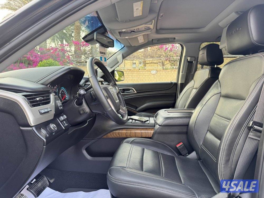 دينالي ٢٠١٩5