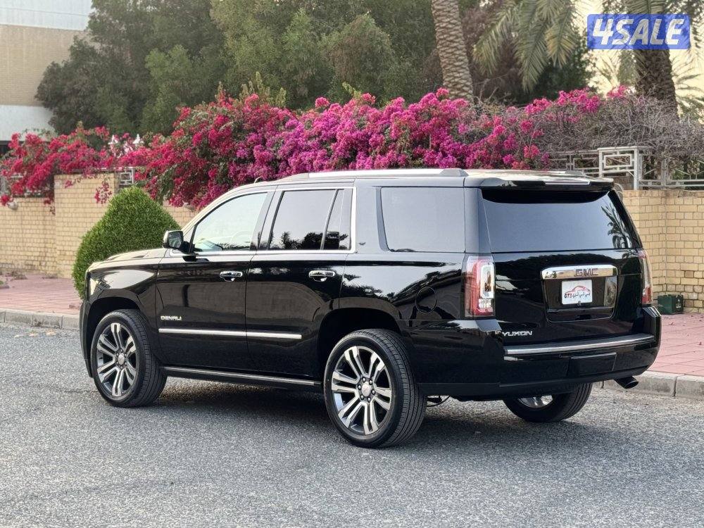 دينالي ٢٠١٩7