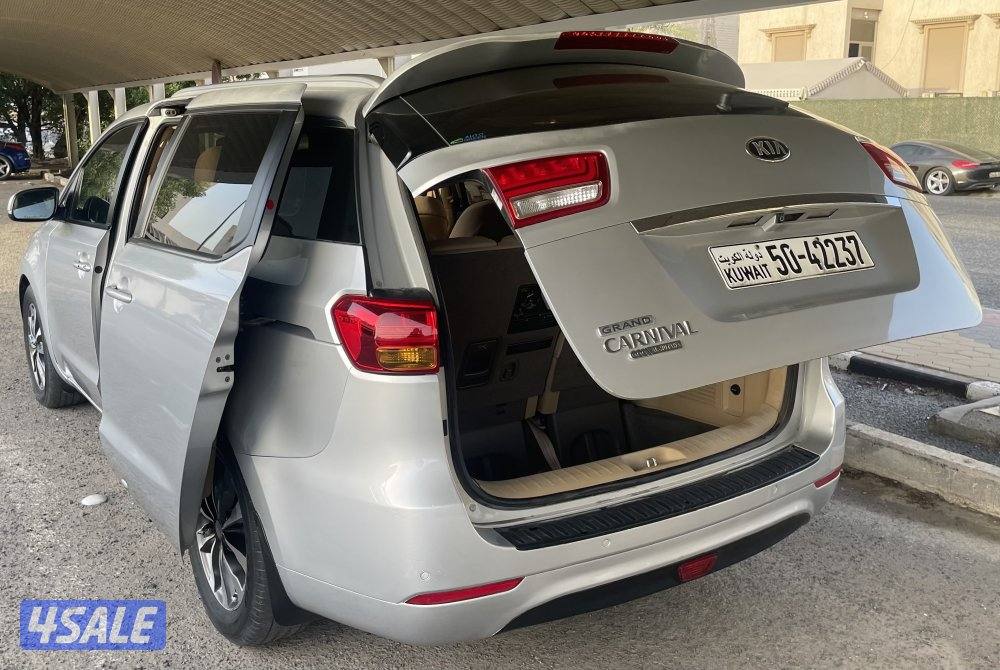 خيطان قطعة 810