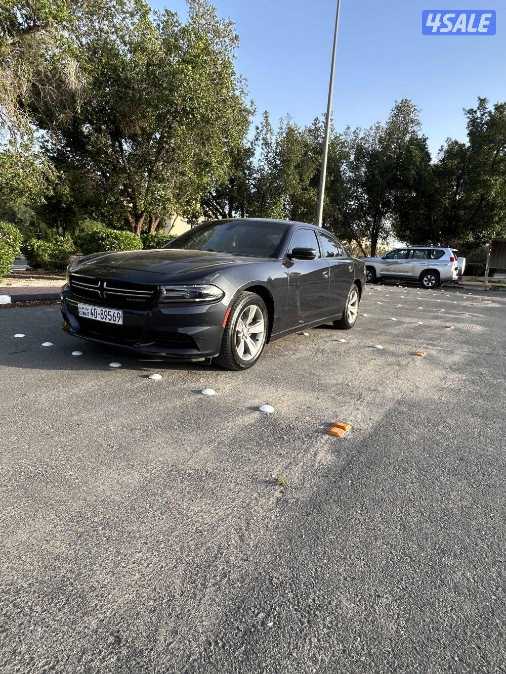 صبغ الوكاله بحاله ممتزه جاهز للاستعمال0