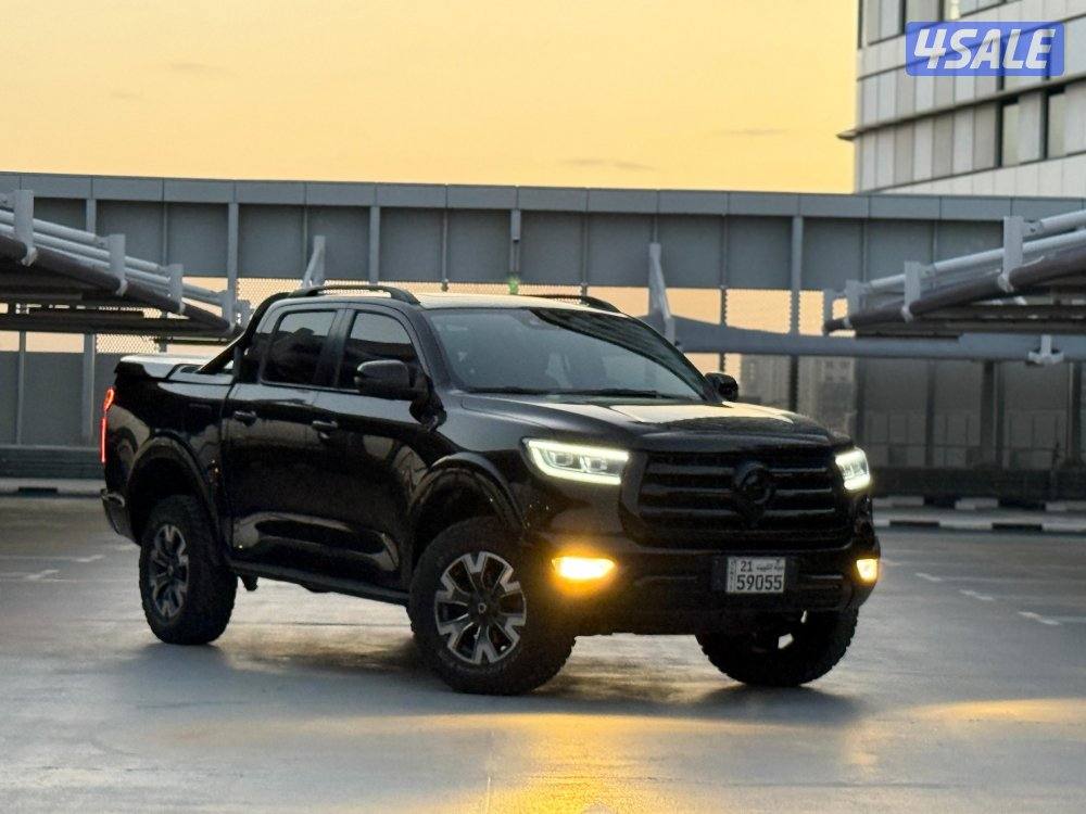 Great wol poer 20233