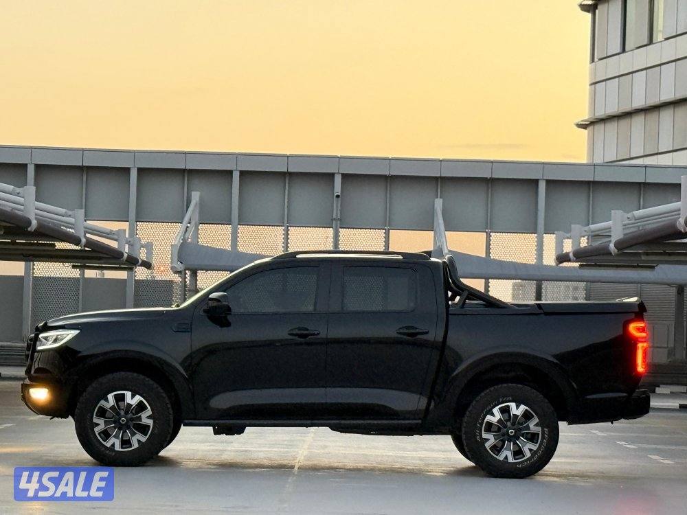 Great wol poer 20236