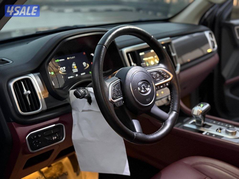 Great wol poer 20237