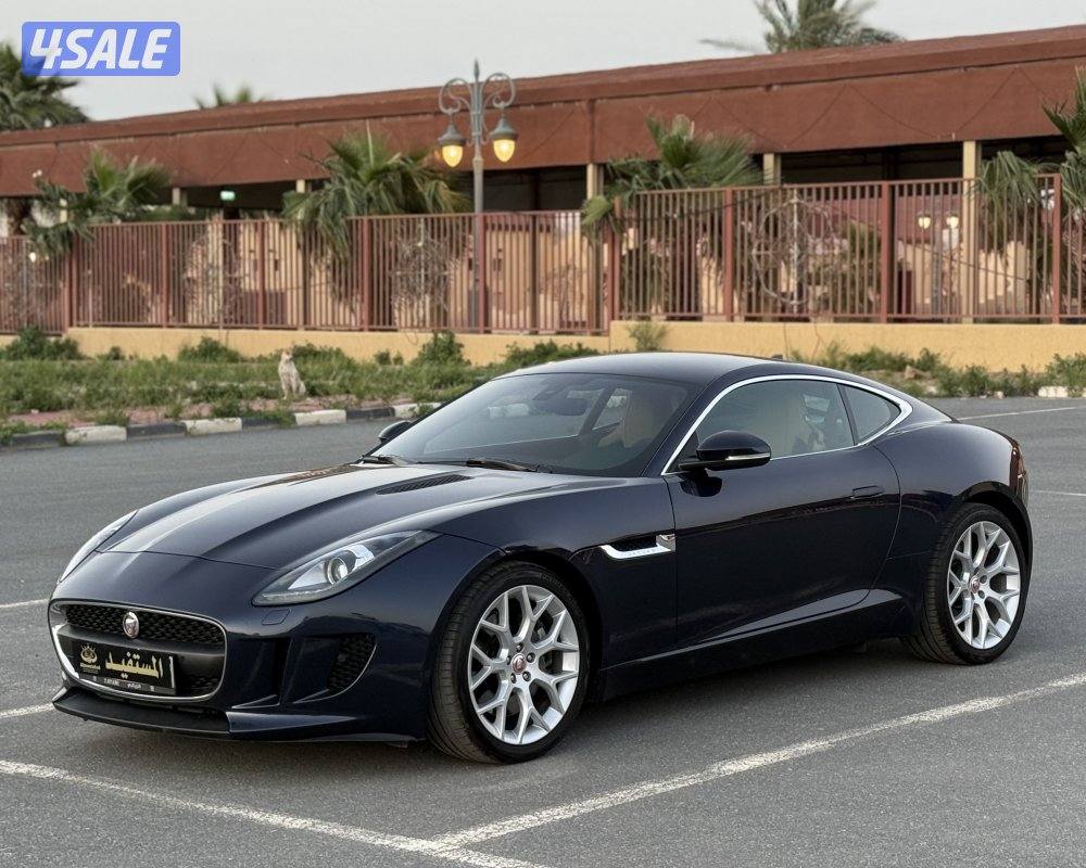 بحاله نادره عداد 40 صبغ الوكاله0