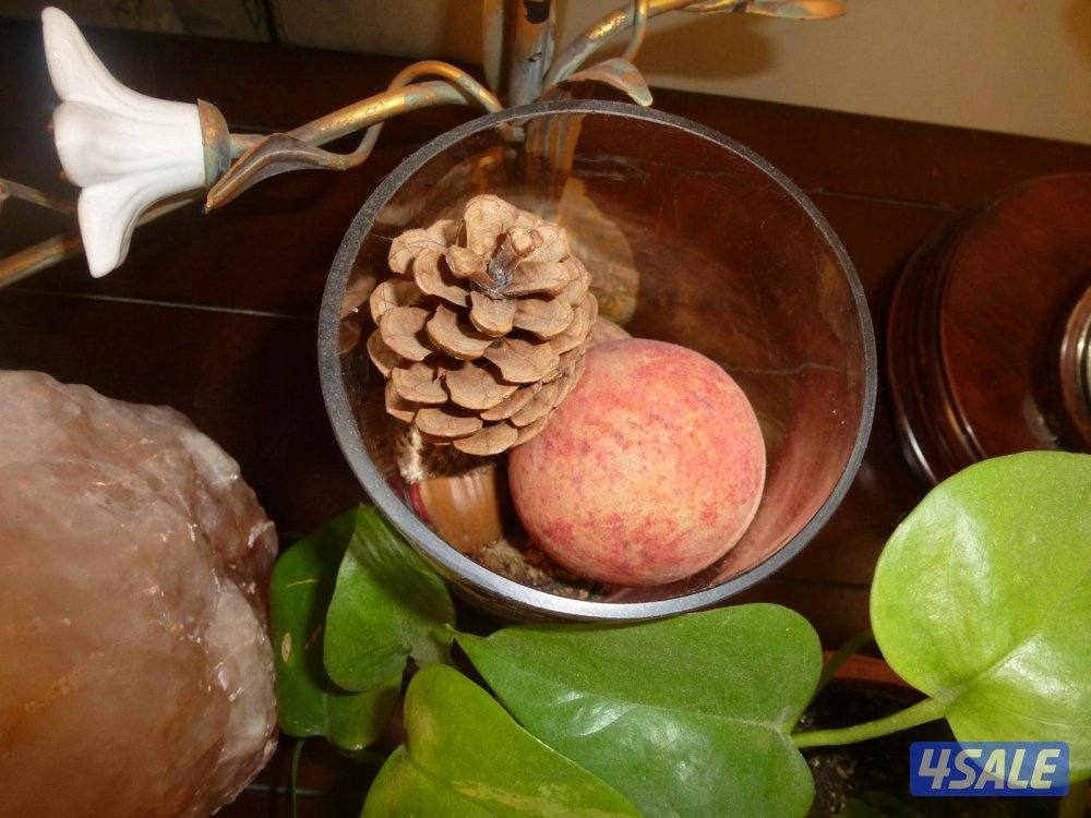 كاميرا لومكس  تصويرها جدا حلو نفس g7x شوف صورها13