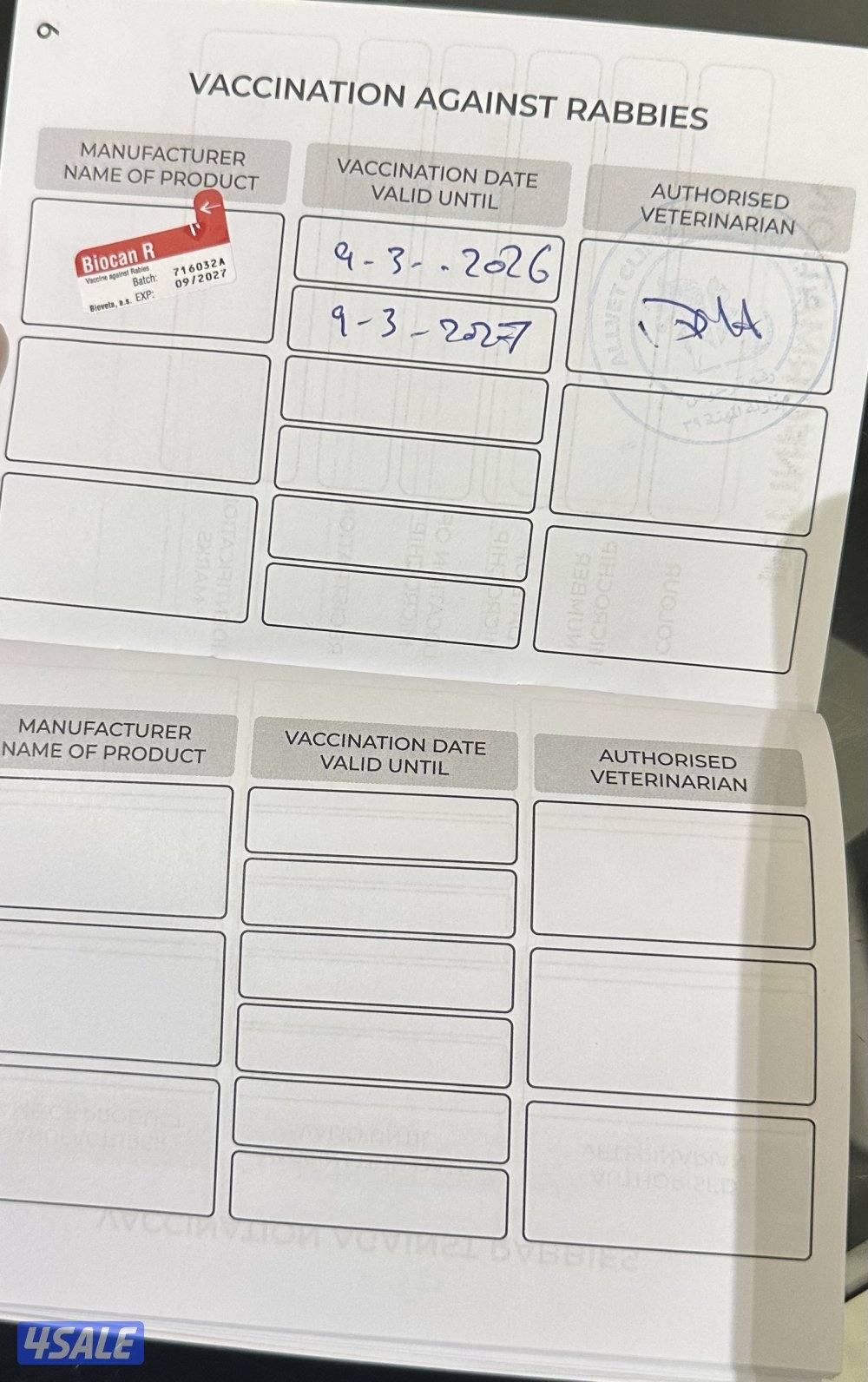 للبيع شوقر قلايدر - ذكر - تقريبا ٣ شهور نظيف وامطعم ياكل فواكه6