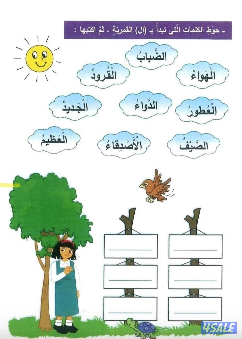 مدرس لغة عربية خبرة تأسيس0