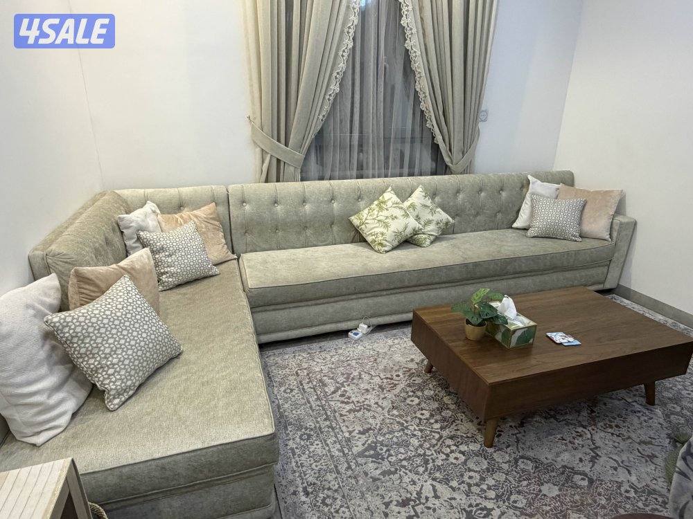 للبيع قفنفات في حالة ممتازة جداً من كاكولي1