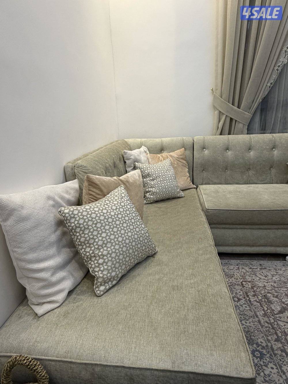 للبيع قفنفات في حالة ممتازة جداً من كاكولي3