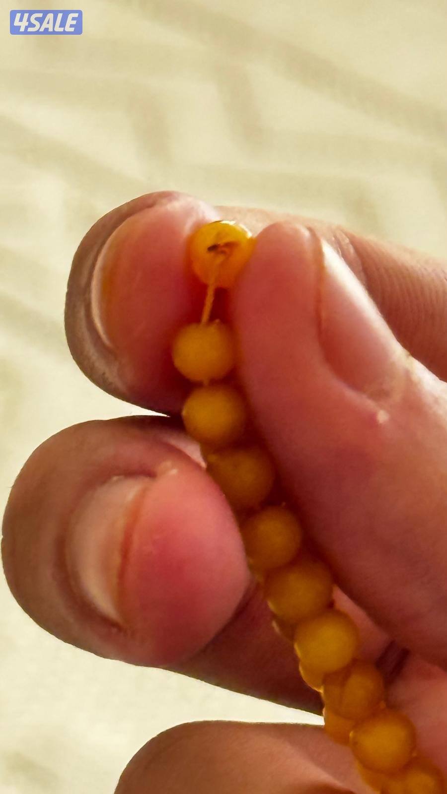 مسباحين كهرب حر3