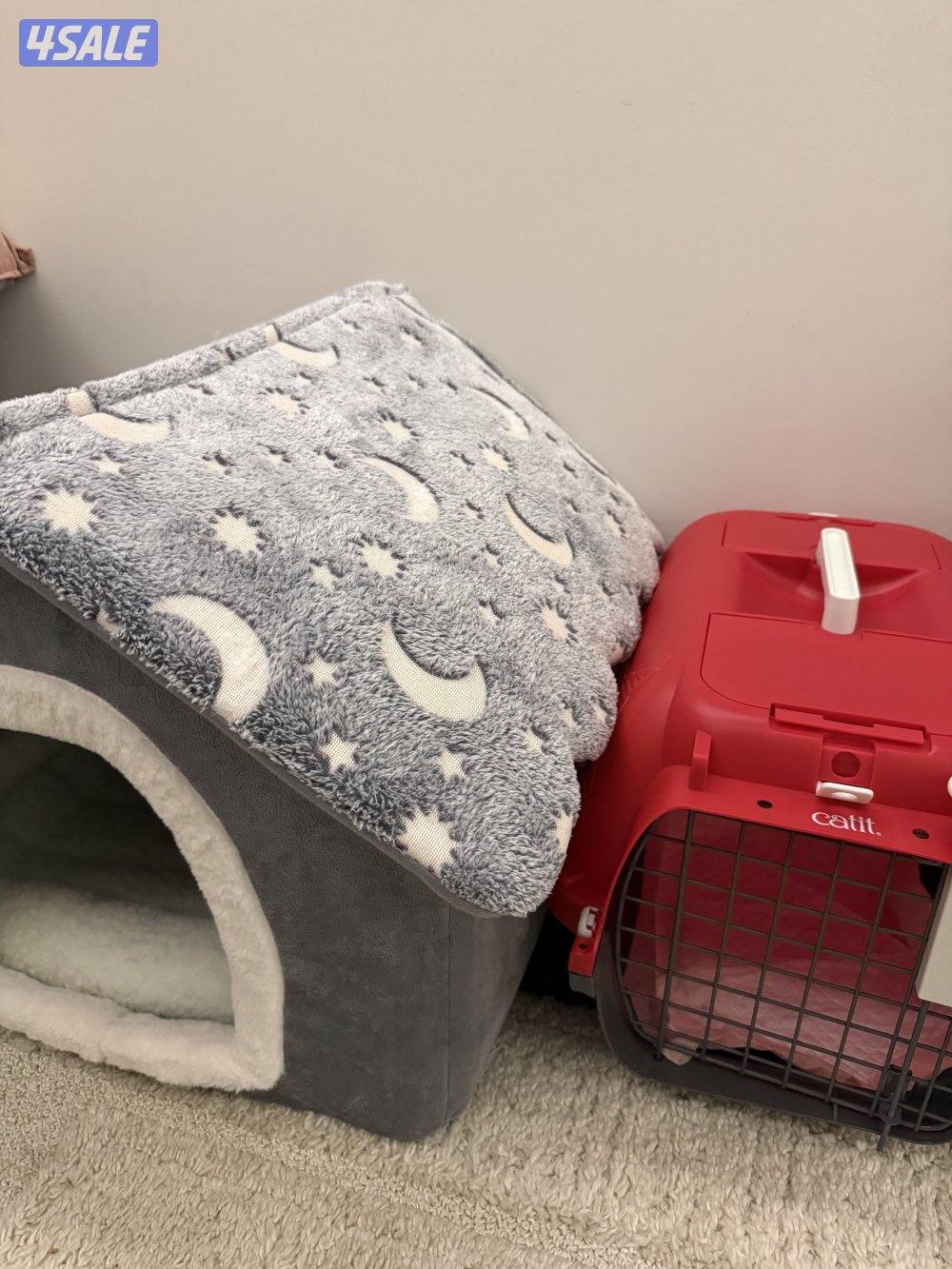 جرو شيتزو انثى ( عمرها شهر )5