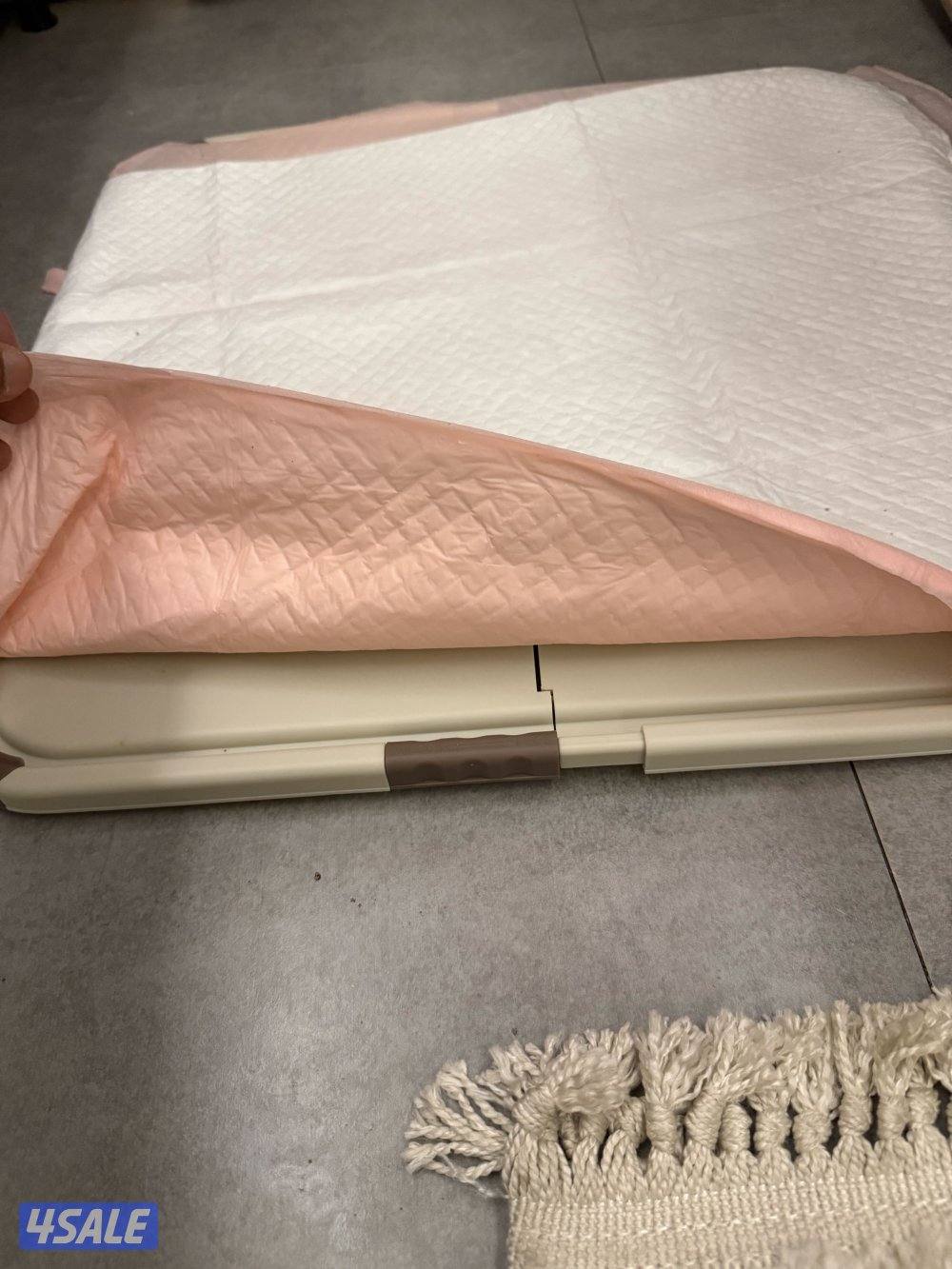 جرو شيتزو انثى ( عمرها شهر )6