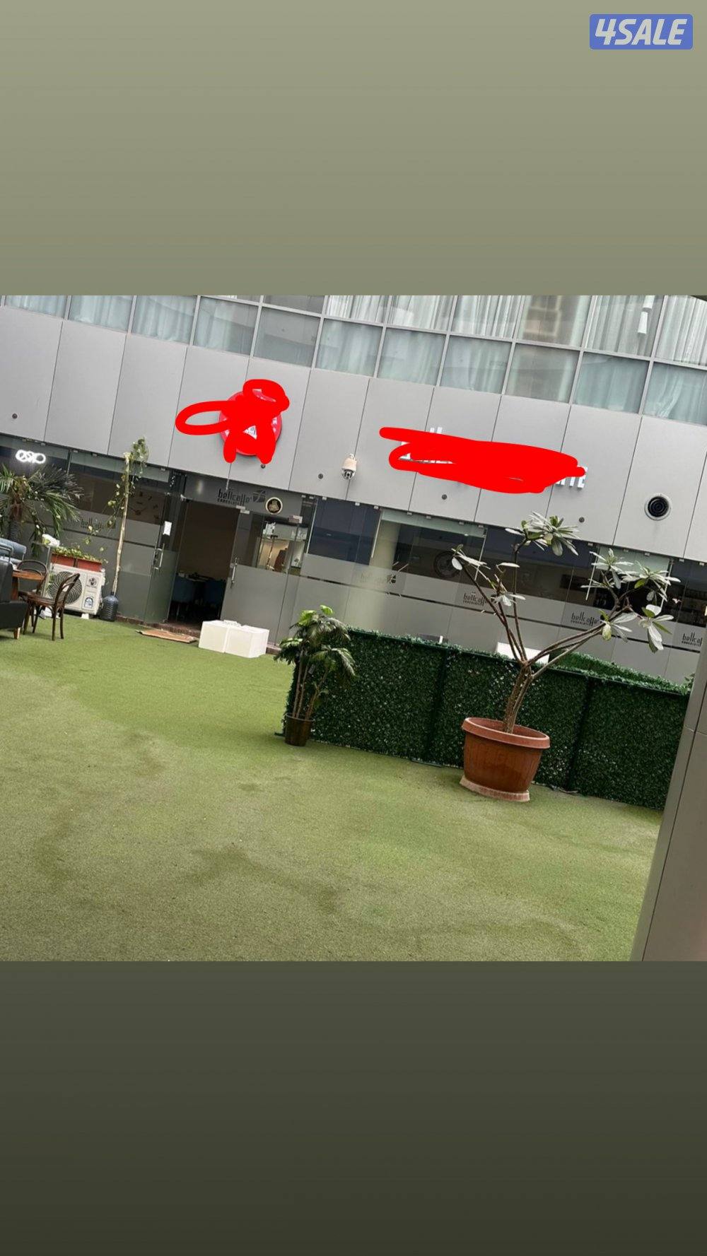 للبيع كافيه وشيشه0