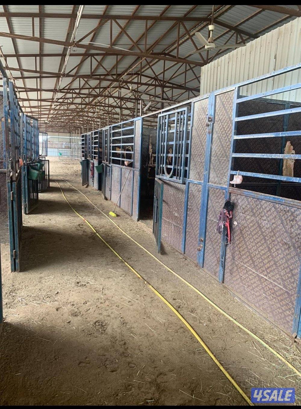 للبيع بناجر خيل فك وتركيب0