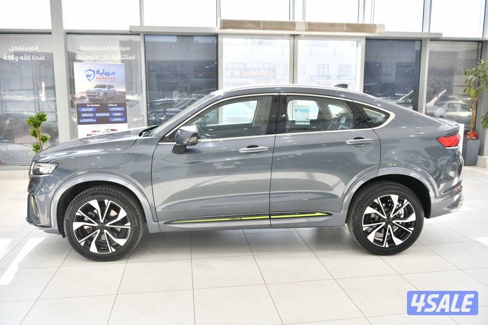 جيلي توجيلا2