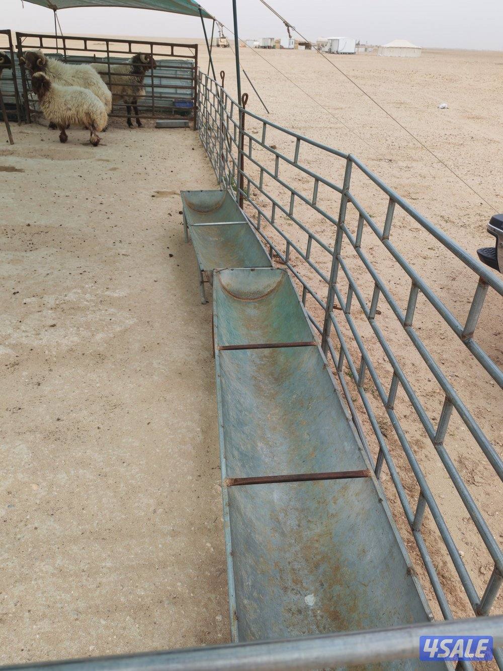 للبيع كبره وشبوك ومعالف وتوانكي وجربه4