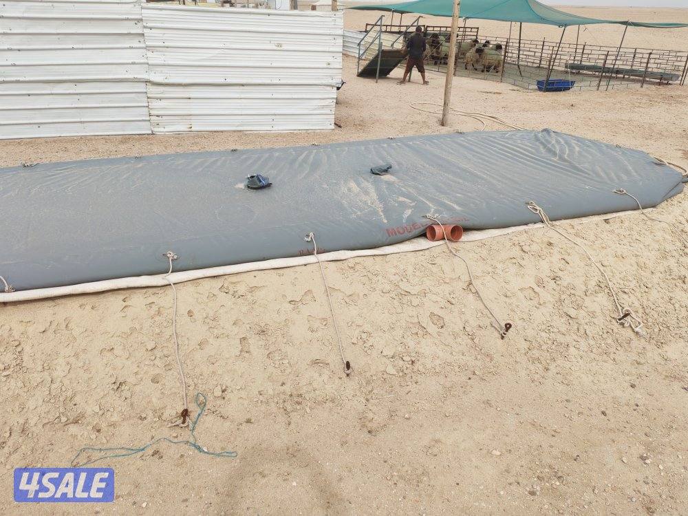 للبيع كبره وشبوك ومعالف وتوانكي وجربه9