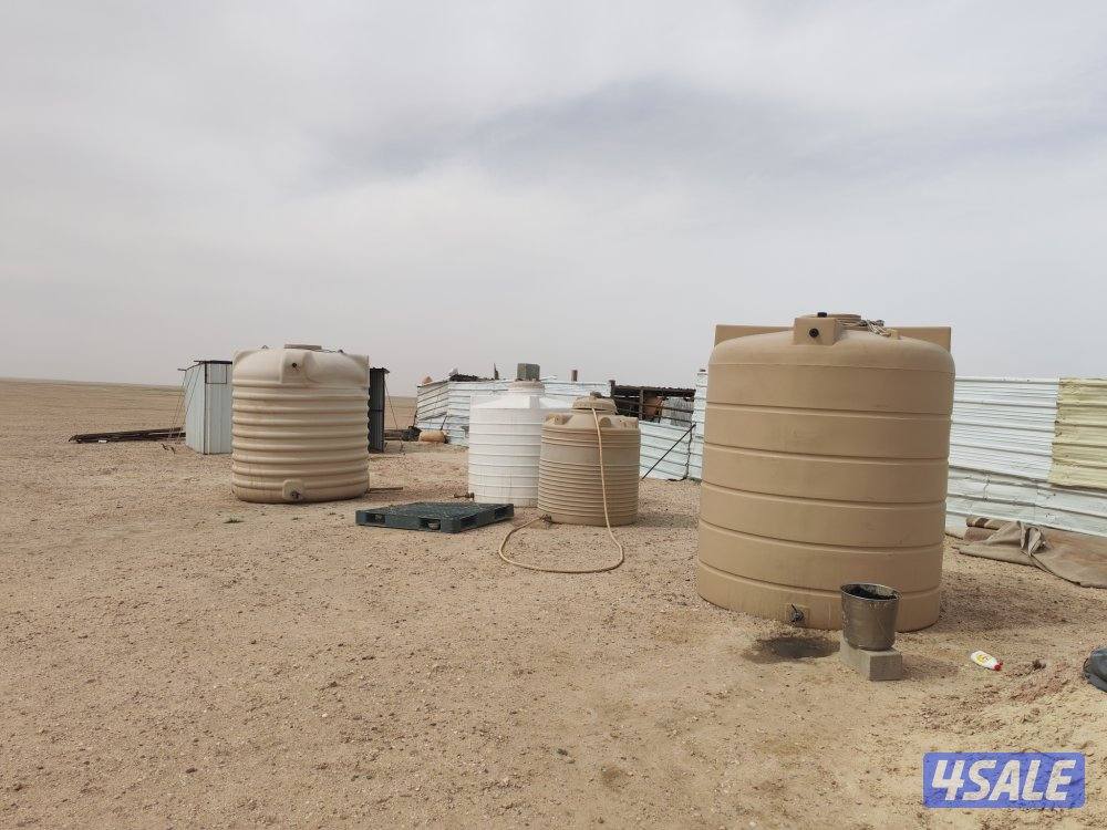 للبيع كبره وشبوك ومعالف وتوانكي وجربه10