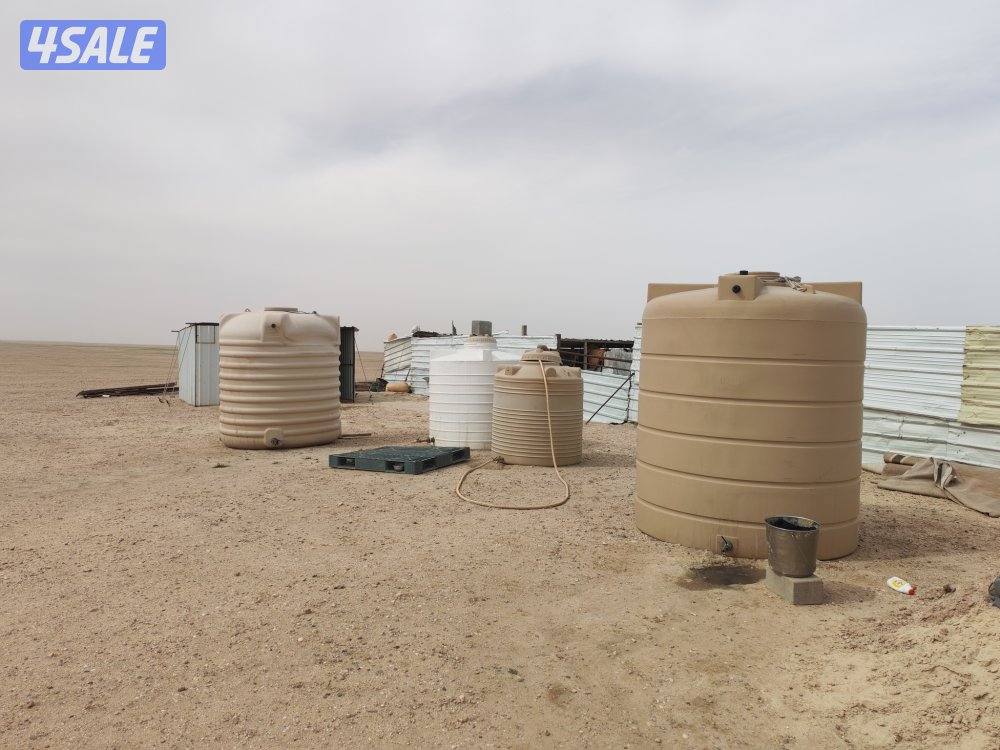 للبيع كبره وشبوك ومعالف وتوانكي وجربه11