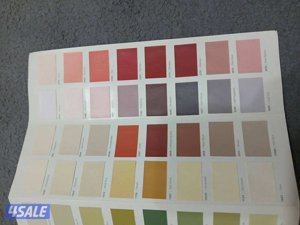 all kind of painter0