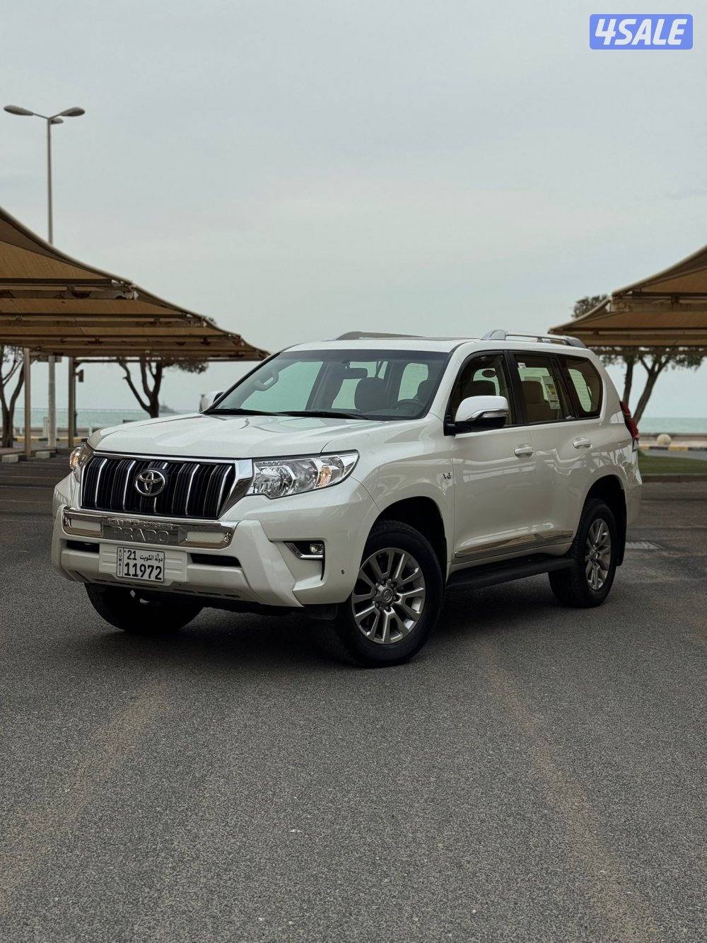 الشرق الصوابر0