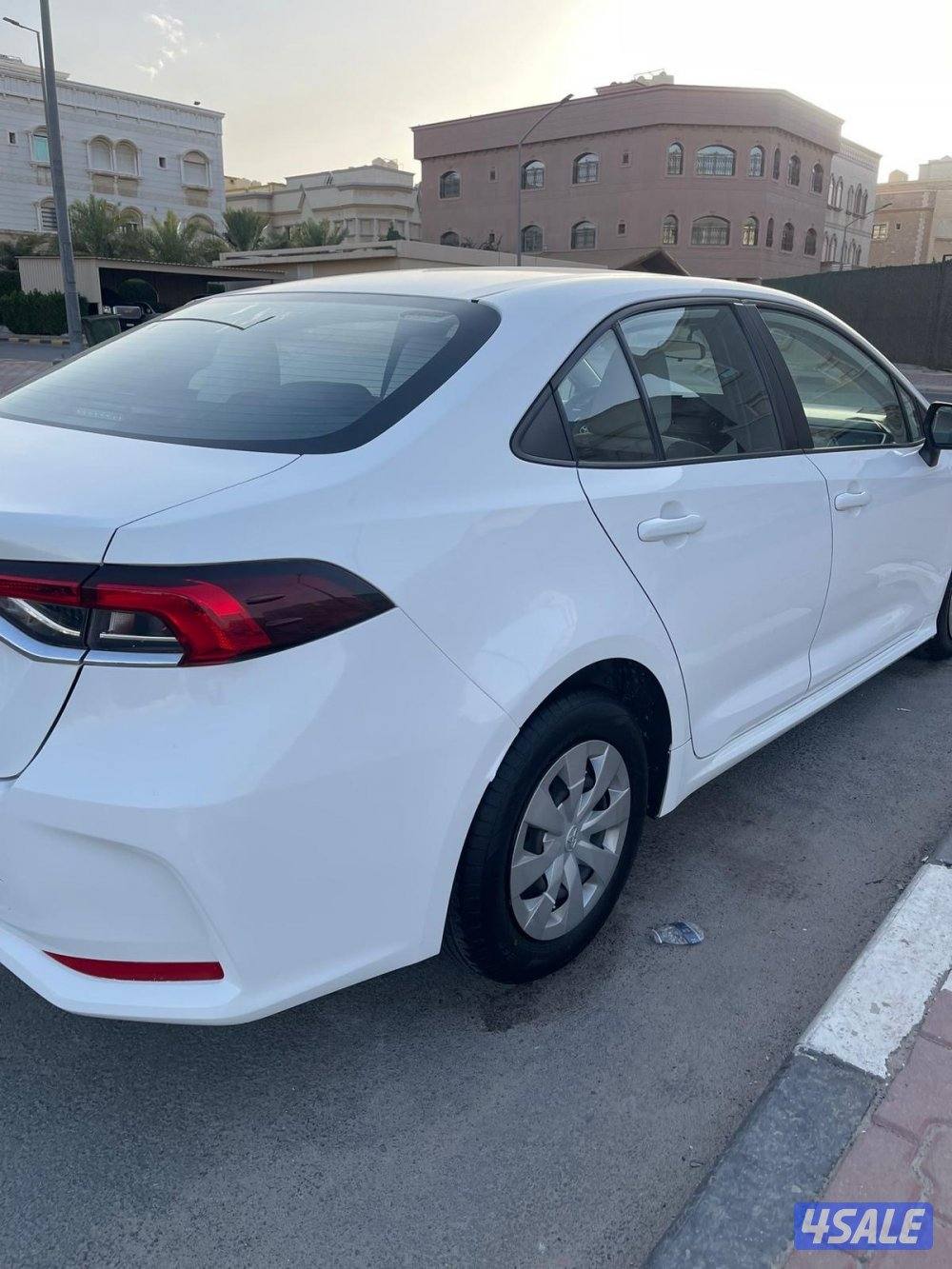 2020 صبغ وكالة6