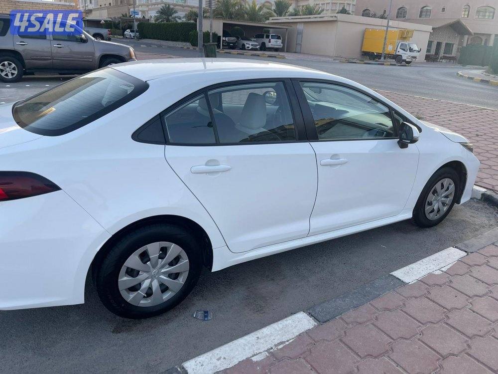 2020 صبغ وكالة8