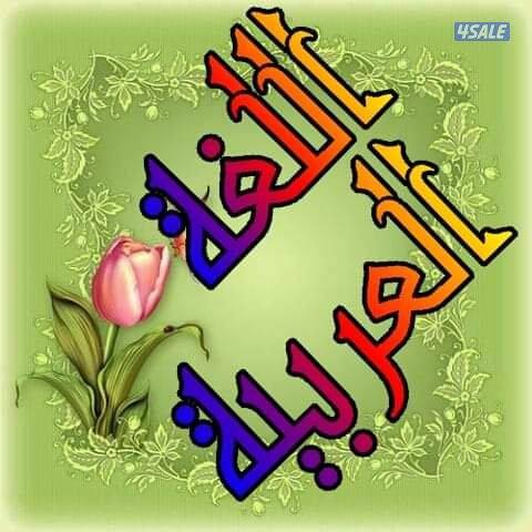 مدرس لغة عربية للمرحلة الإبتدائية والمتوسطة0