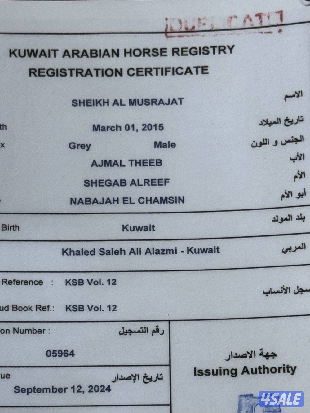 حصان مصري واهو3